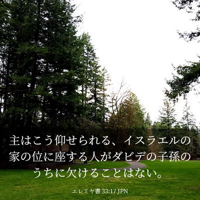 Picture 03 - エレミヤ書 33:17 JPN - 主はこう仰せられる、イスラエルの - Bible Verse Picture