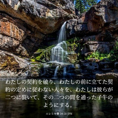 Picture 03 - エレミヤ書 34:18 JPN - わたしの契約を破り、わたしの前に - Bible Verse Picture