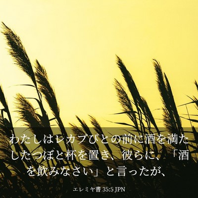 Picture 03 - エレミヤ書 35:5 JPN - わたしはレカブびとの前に酒を満た - Bible Verse Picture