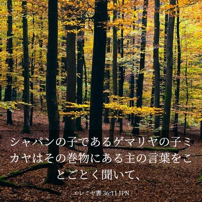 Picture 03 - エレミヤ書 36:11 JPN - シャパンの子であるゲマリヤの子ミ - Bible Verse Picture
