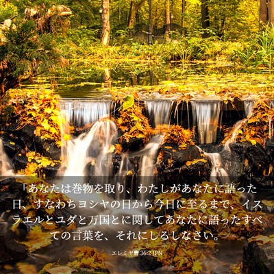 Picture 03 - エレミヤ書 36:2 JPN - 「あなたは巻物を取り、わたしがあ - Bible Verse Picture