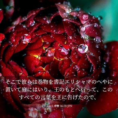 Picture 03 - エレミヤ書 36:20 JPN - そこで彼らは巻物を書記エリシャマ - Bible Verse Picture