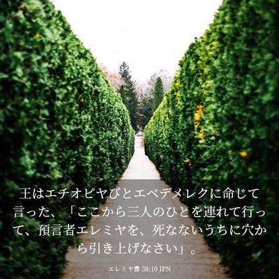 Picture 03 - エレミヤ書 38:10 JPN - 王はエチオピヤびとエベデメレクに - Bible Verse Picture