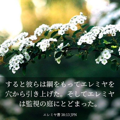 Picture 03 - エレミヤ書 38:13 JPN - すると彼らは綱をもってエレミヤを - Bible Verse Picture