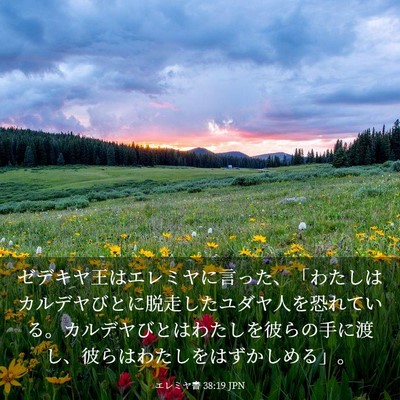Picture 03 - エレミヤ書 38:19 JPN - ゼデキヤ王はエレミヤに言った、「 - Bible Verse Picture