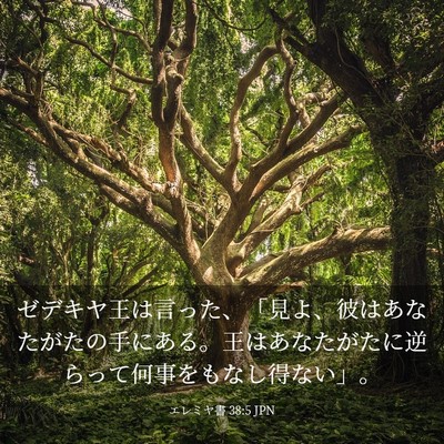 Picture 03 - エレミヤ書 38:5 JPN - ゼデキヤ王は言った、「見よ、彼は - Bible Verse Picture