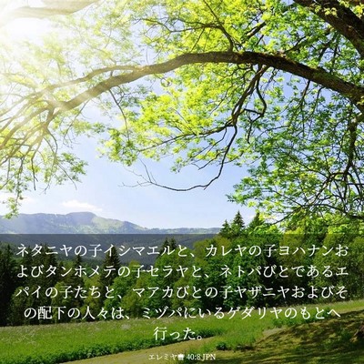 Picture 03 - エレミヤ書 40:8 JPN - ネタニヤの子イシマエルと、カレヤ - Bible Verse Picture