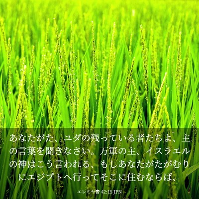Picture 03 - エレミヤ書 42:15 JPN - あなたがた、ユダの残っている者た - Bible Verse Picture