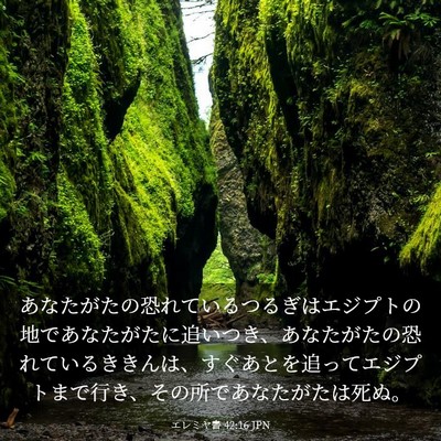 Picture 03 - エレミヤ書 42:16 JPN - あなたがたの恐れているつるぎはエ - Bible Verse Picture