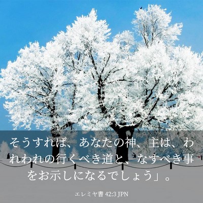 Picture 03 - エレミヤ書 42:3 JPN - そうすれば、あなたの神、主は、わ - Bible Verse Picture