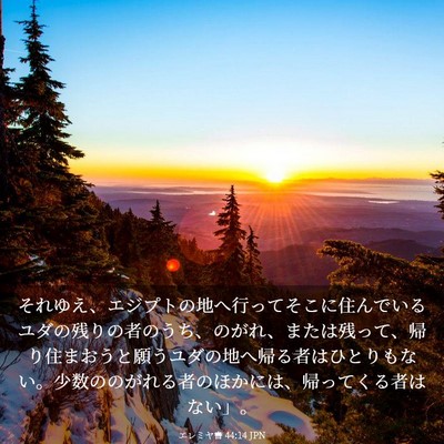 Picture 03 - エレミヤ書 44:14 JPN - それゆえ、エジプトの地へ行ってそ - Bible Verse Picture