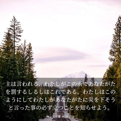 Picture 03 - エレミヤ書 44:29 JPN - 主は言われる、わたしがこの所であ - Bible Verse Picture