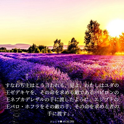 Picture 03 - エレミヤ書 44:30 JPN - すなわち主はこう言われる、見よ、 - Bible Verse Picture