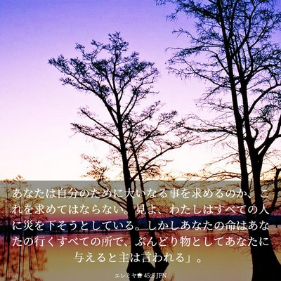 Picture 03 - エレミヤ書 45:5 JPN - あなたは自分のために大いなる事を - Bible Verse Picture