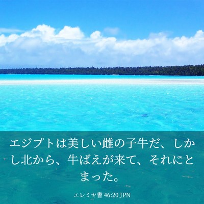 Picture 03 - エレミヤ書 46:20 JPN - エジプトは美しい雌の子牛だ、しか - Bible Verse Picture