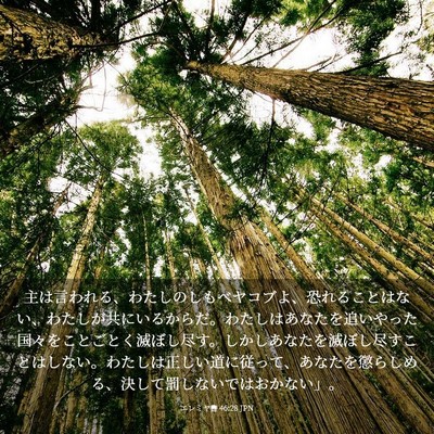 Picture 03 - エレミヤ書 46:28 JPN - 主は言われる、わたしのしもべヤコ - Bible Verse Picture