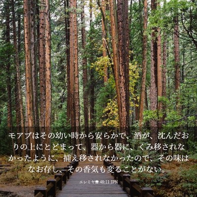 Picture 03 - エレミヤ書 48:11 JPN - モアブはその幼い時から安らかで、 - Bible Verse Picture