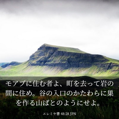 Picture 03 - エレミヤ書 48:28 JPN - モアブに住む者よ、町を去って岩の - Bible Verse Picture