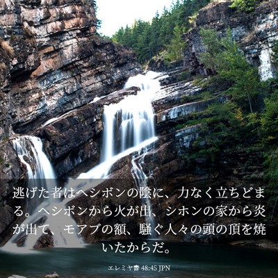 Picture 03 - エレミヤ書 48:45 JPN - 逃げた者はヘシボンの陰に、力なく - Bible Verse Picture