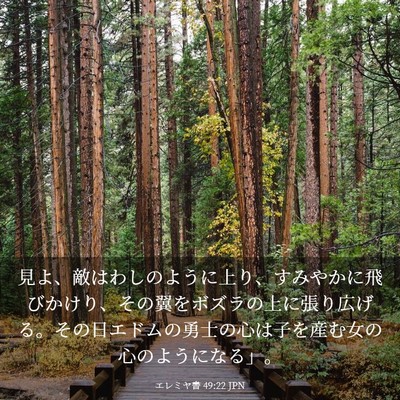 Picture 03 - エレミヤ書 49:22 JPN - 見よ、敵はわしのように上り、すみ - Bible Verse Picture