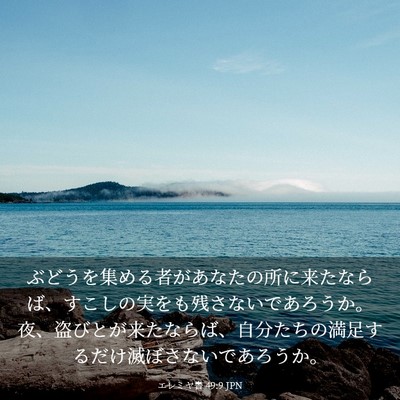 Picture 03 - エレミヤ書 49:9 JPN - ぶどうを集める者があなたの所に来 - Bible Verse Picture