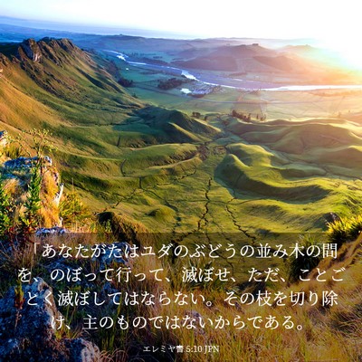 Picture 03 - エレミヤ書 5:10 JPN - 「あなたがたはユダのぶどうの並み - Bible Verse Picture