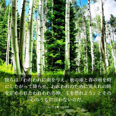 Picture 03 - エレミヤ書 5:24 JPN - 彼らは『われわれに雨を与え、秋の - Bible Verse Picture