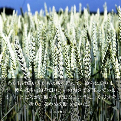 Picture 03 - エレミヤ書 5:5 JPN - わたしは偉い人たちの所へ行って、 - Bible Verse Picture