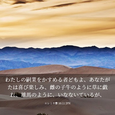 Picture 03 - エレミヤ書 50:11 JPN - わたしの嗣業をかすめる者どもよ、 - Bible Verse Picture