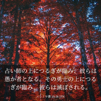Picture 03 - エレミヤ書 50:36 JPN - 占い師の上につるぎが臨み、彼らは - Bible Verse Picture