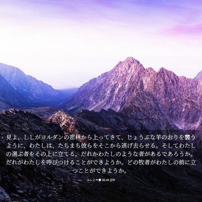 Picture 03 - エレミヤ書 50:44 JPN - 見よ、ししがヨルダンの密林から上 - Bible Verse Picture