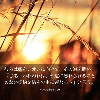 Picture 03 - エレミヤ書 50:5 JPN - 彼らは顔をシオンに向けて、その道 - Bible Verse Picture