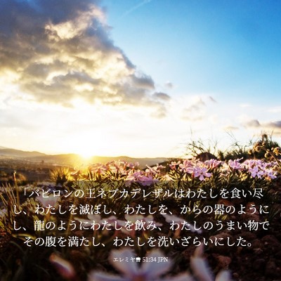 Picture 03 - エレミヤ書 51:34 JPN - 「バビロンの王ネブカデレザルはわ - Bible Verse Picture