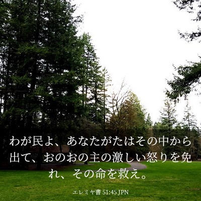 Picture 03 - エレミヤ書 51:45 JPN - わが民よ、あなたがたはその中から - Bible Verse Picture