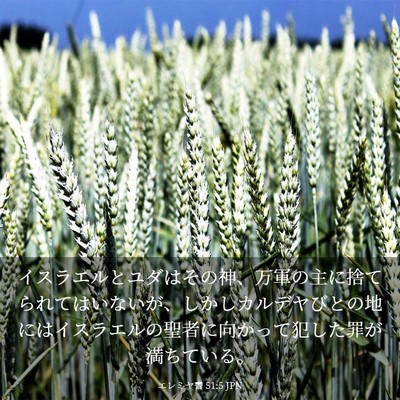 Picture 03 - エレミヤ書 51:5 JPN - イスラエルとユダはその神、万軍の - Bible Verse Picture