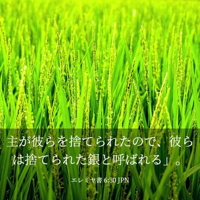 Picture 03 - エレミヤ書 6:30 JPN - 主が彼らを捨てられたので、彼らは - Bible Verse Picture