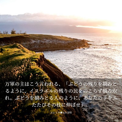 Picture 03 - エレミヤ書 6:9 JPN - 万軍の主はこう言われる、「ぶどう - Bible Verse Picture