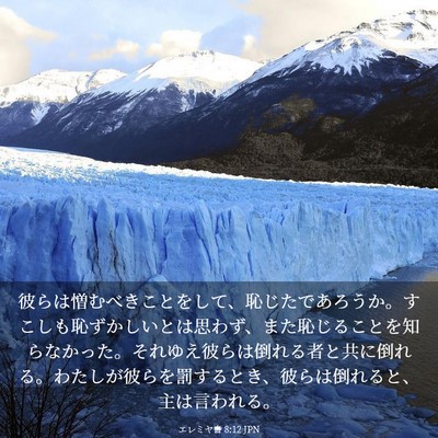 Picture 03 - エレミヤ書 8:12 JPN - 彼らは憎むべきことをして、恥じた - Bible Verse Picture
