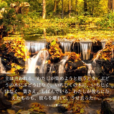 Picture 03 - エレミヤ書 8:13 JPN - 主は言われる、わたしが集めようと - Bible Verse Picture
