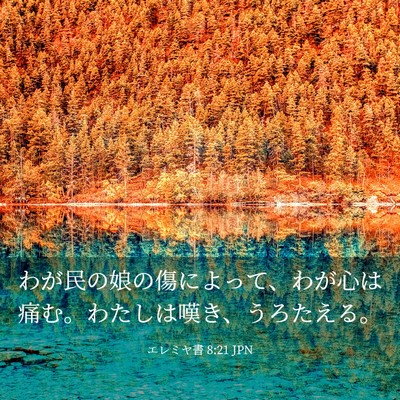 Picture 03 - エレミヤ書 8:21 JPN - わが民の娘の傷によって、わが心は - Bible Verse Picture