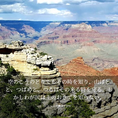 Picture 03 - エレミヤ書 8:7 JPN - 空のこうのとりでもその時を知り、 - Bible Verse Picture
