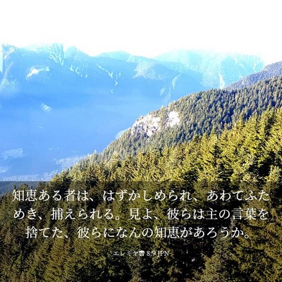 Picture 03 - エレミヤ書 8:9 JPN - 知恵ある者は、はずかしめられ、あ - Bible Verse Picture