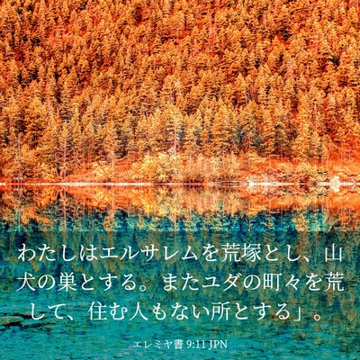 Picture 03 - エレミヤ書 9:11 JPN - わたしはエルサレムを荒塚とし、山 - Bible Verse Picture