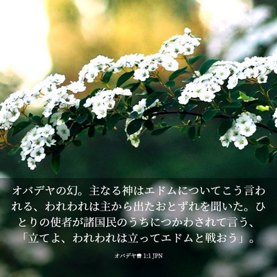 Picture 03 - オバデヤ書 1:1 JPN - オバデヤの幻。主なる神はエドムに - Bible Verse Picture