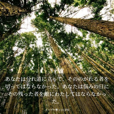 Picture 03 - オバデヤ書 1:14 JPN - あなたは分れ道に立って、そののが - Bible Verse Picture