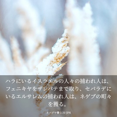 Picture 03 - オバデヤ書 1:20 JPN - ハラにいるイスラエルの人々の捕わ - Bible Verse Picture