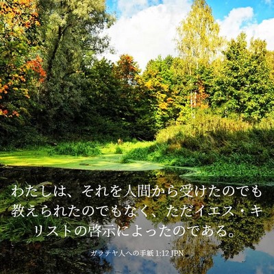 Picture 03 - ガラテヤ人への手紙 1:12 JPN - わたしは、それを人間から受けたの - Bible Verse Picture