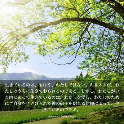 Picture 03 - ガラテヤ人への手紙 2:20 JPN - 生きているのは、もはや、わたしで - Bible Verse Picture