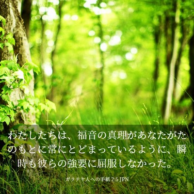 Picture 03 - ガラテヤ人への手紙 2:5 JPN - わたしたちは、福音の真理があなた - Bible Verse Picture