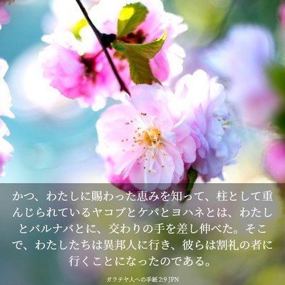 Picture 03 - ガラテヤ人への手紙 2:9 JPN - かつ、わたしに賜わった恵みを知っ - Bible Verse Picture